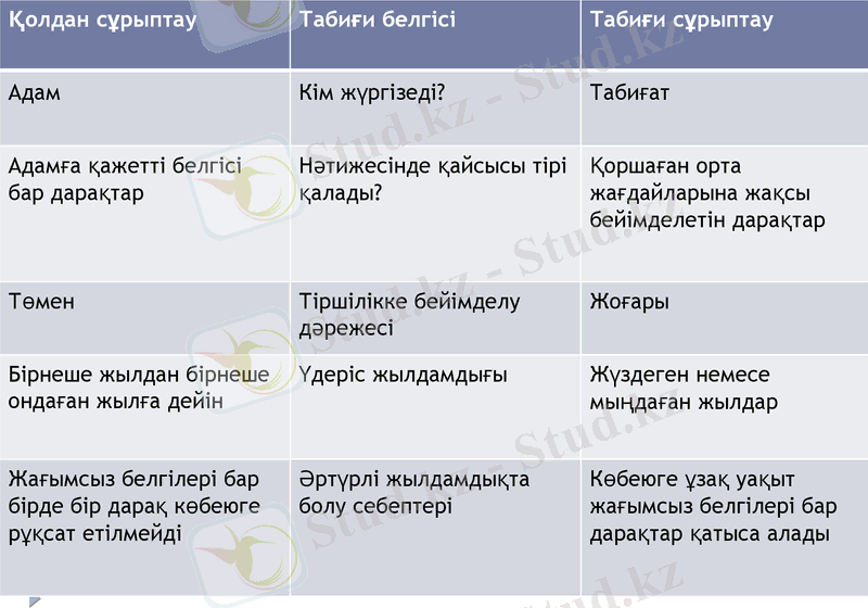 Slide 8