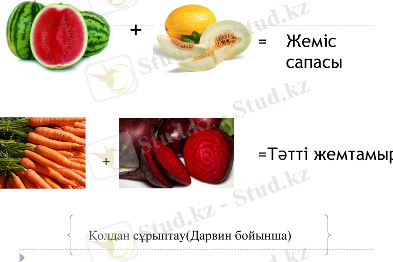 Slide 9