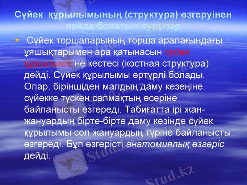 Slide 12