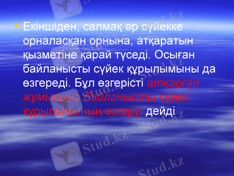 Slide 13