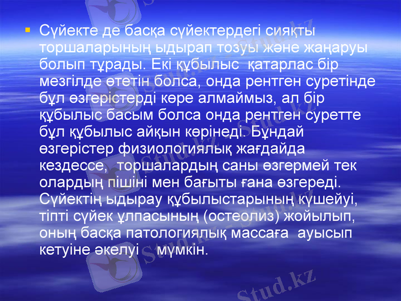 Slide 14