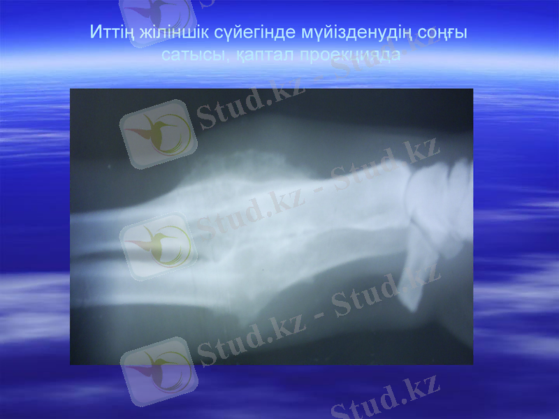 Slide 19