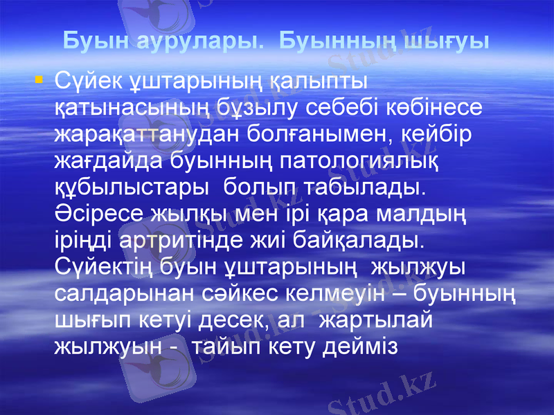 Slide 20