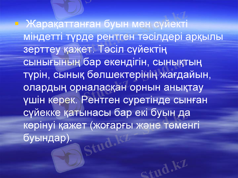 Slide 7