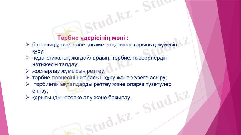 Slide 6
