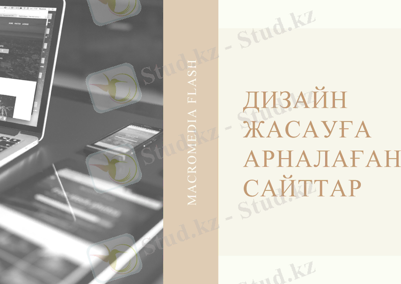 Slide 8