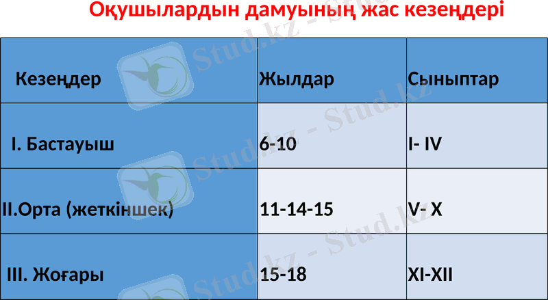 Slide 24