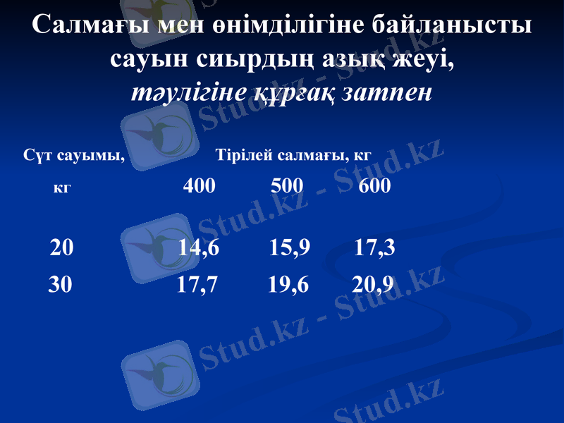 Slide 11