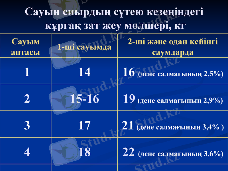 Slide 13