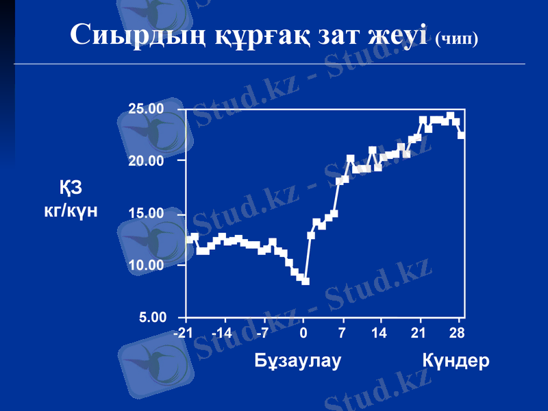 Slide 14