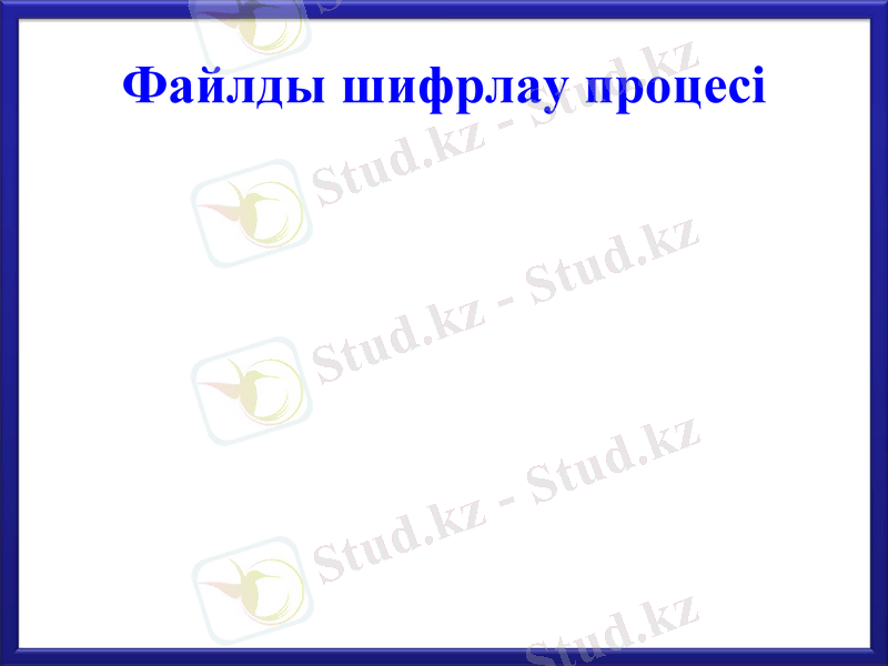 Slide 12