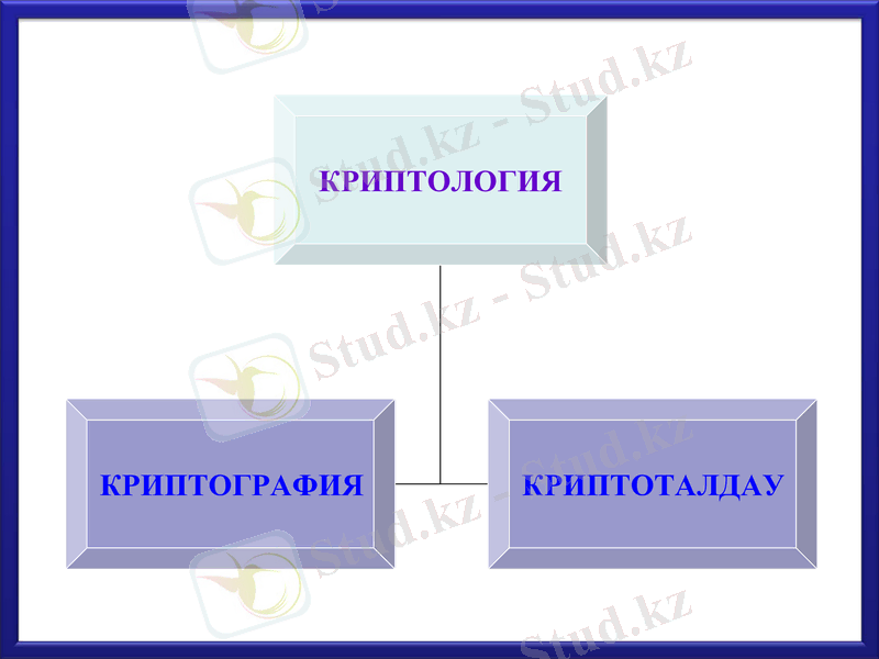 Slide 8
