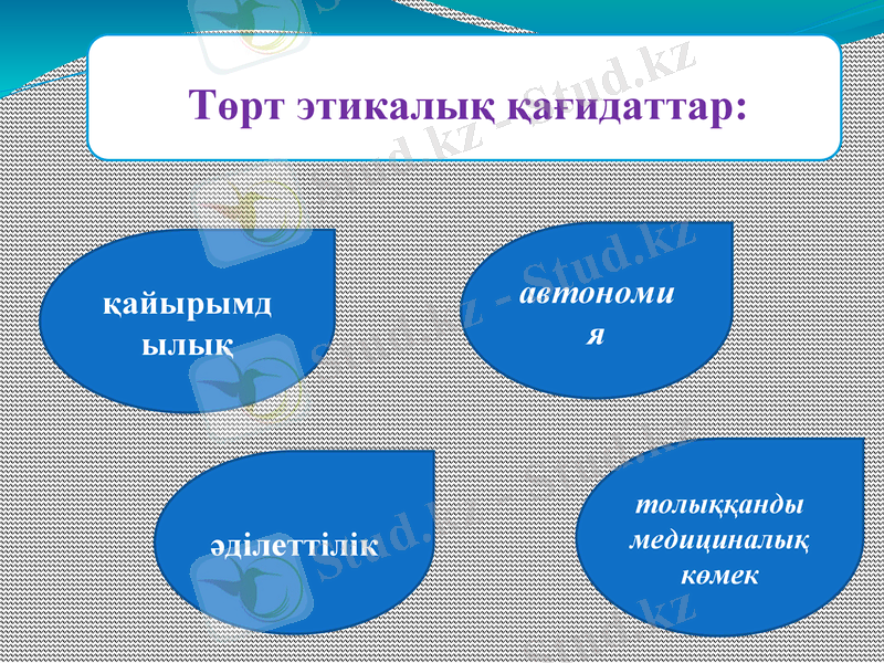 Slide 9