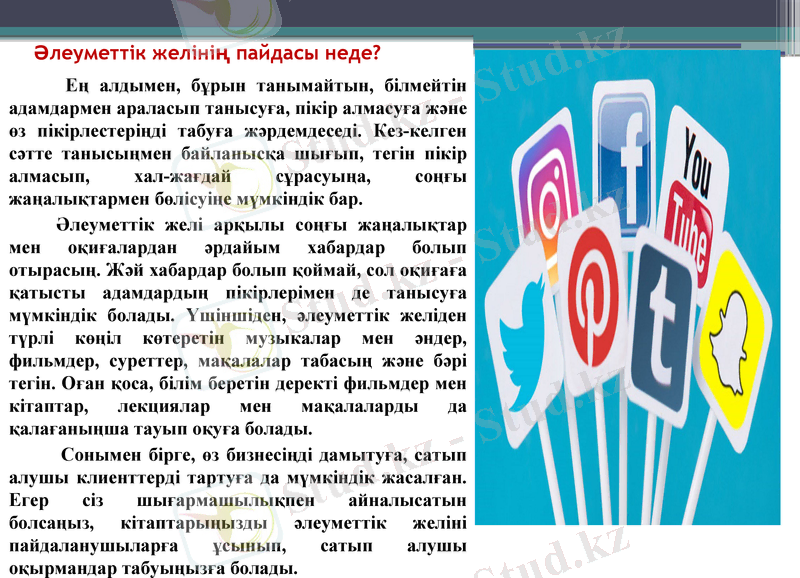 Slide 8