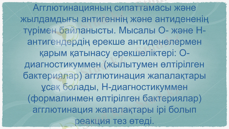 Slide 11