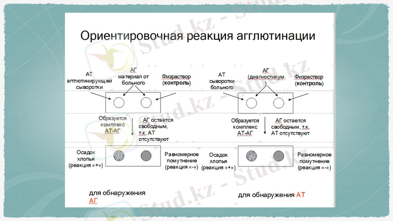 Slide 13
