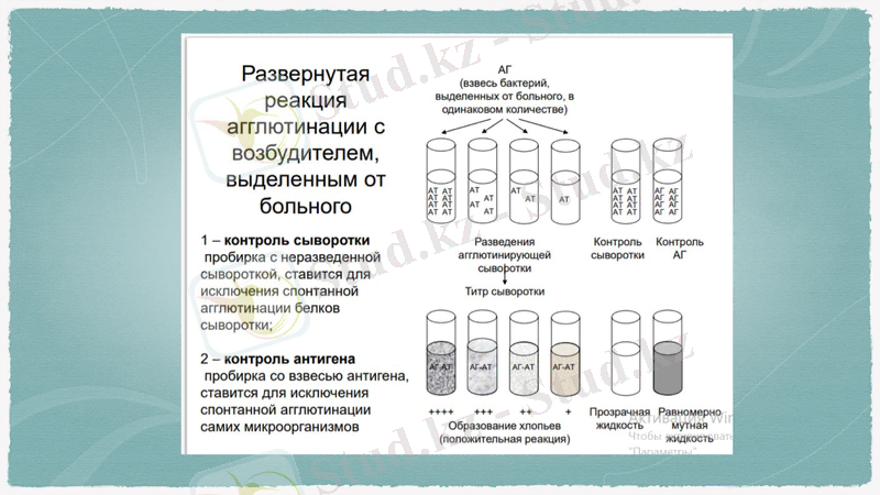 Slide 14