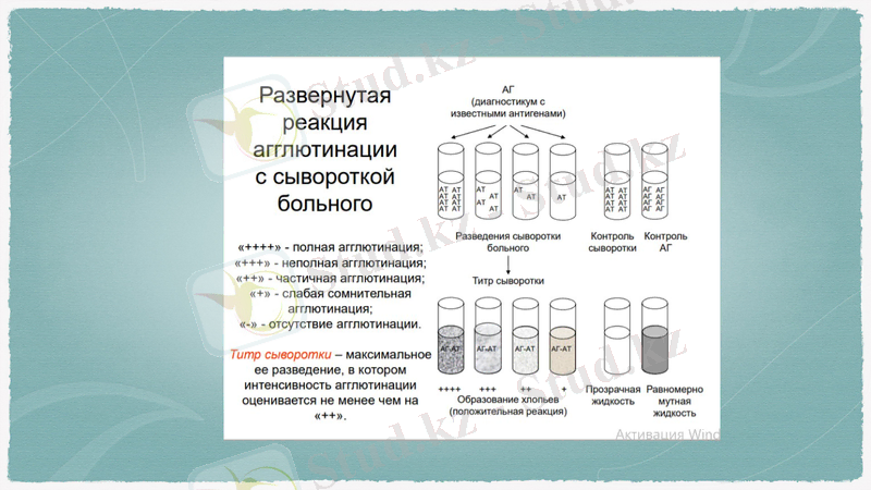 Slide 15
