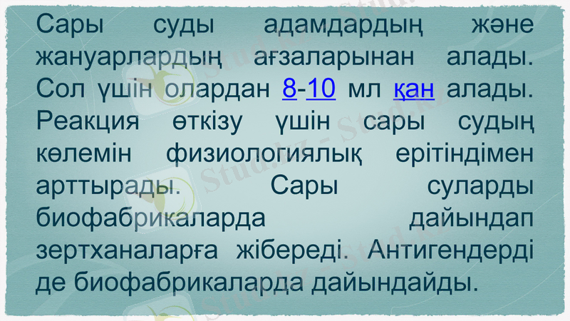 Slide 8