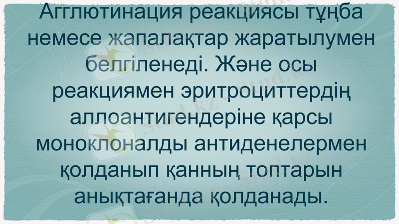 Slide 9