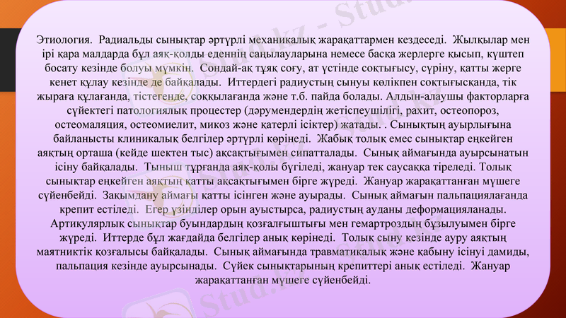 Slide 10