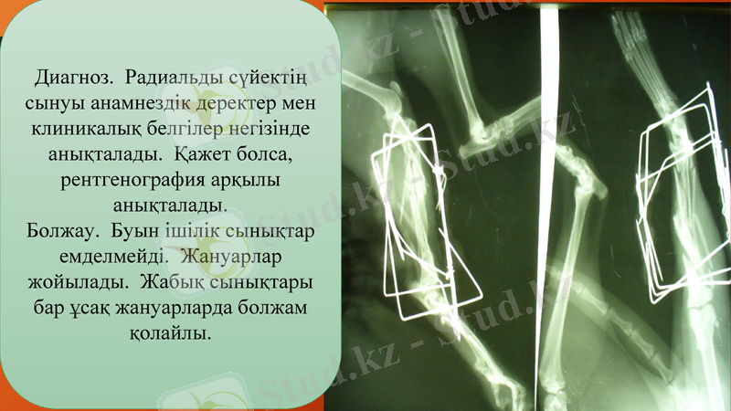 Slide 11
