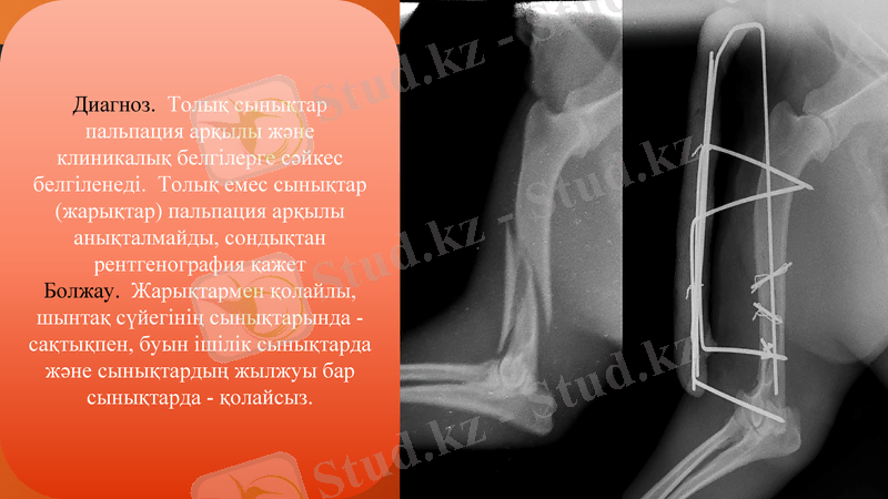Slide 6