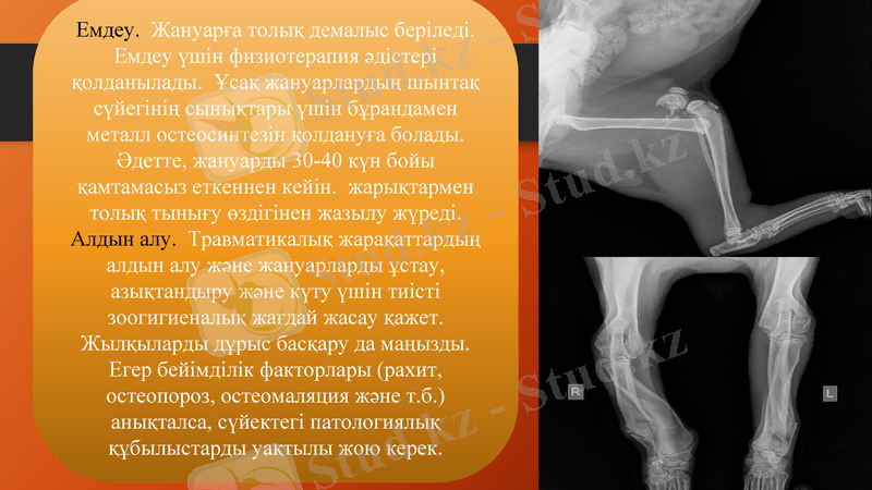 Slide 7