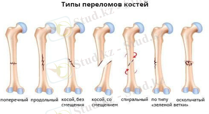 Slide 8