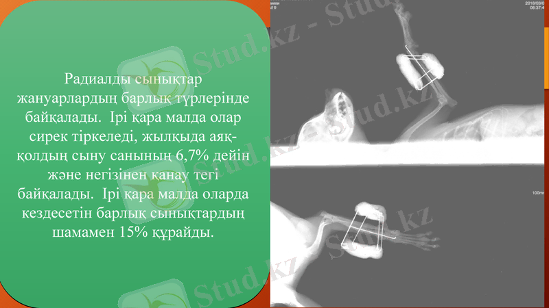 Slide 9