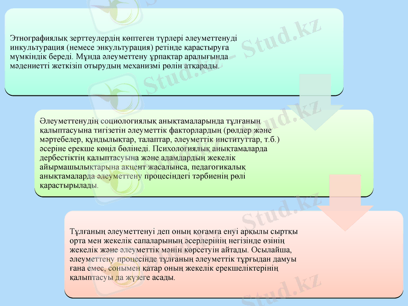 Slide 11