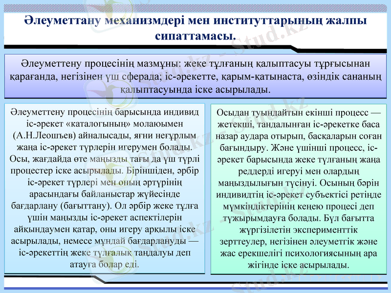 Slide 6
