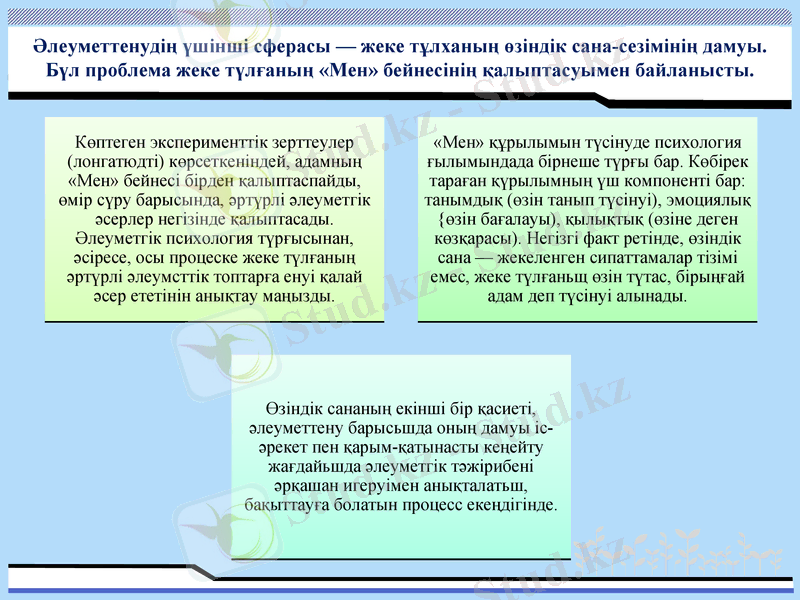 Slide 7