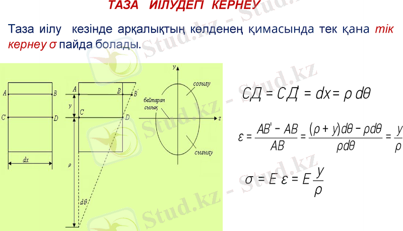Slide 8