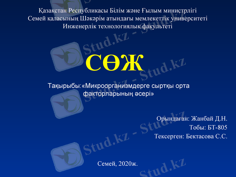 Slide 1