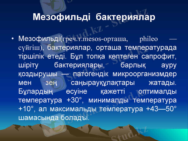 Slide 10