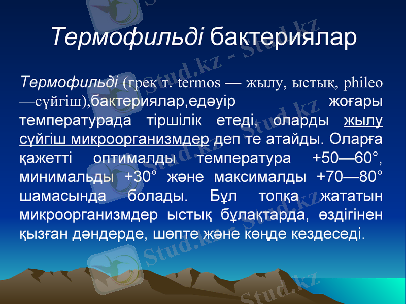 Slide 11