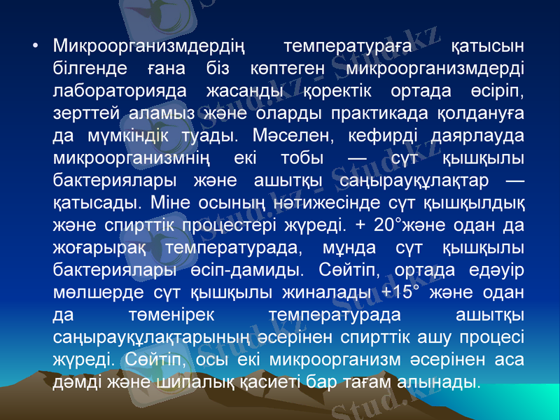 Slide 12