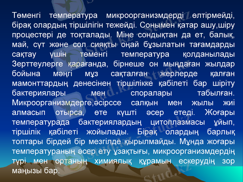Slide 13