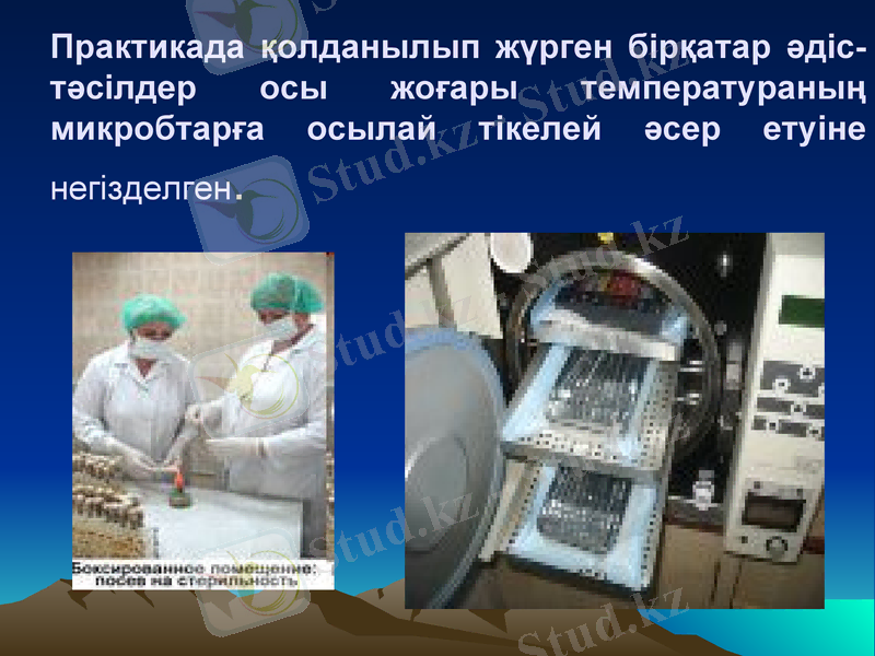 Slide 15