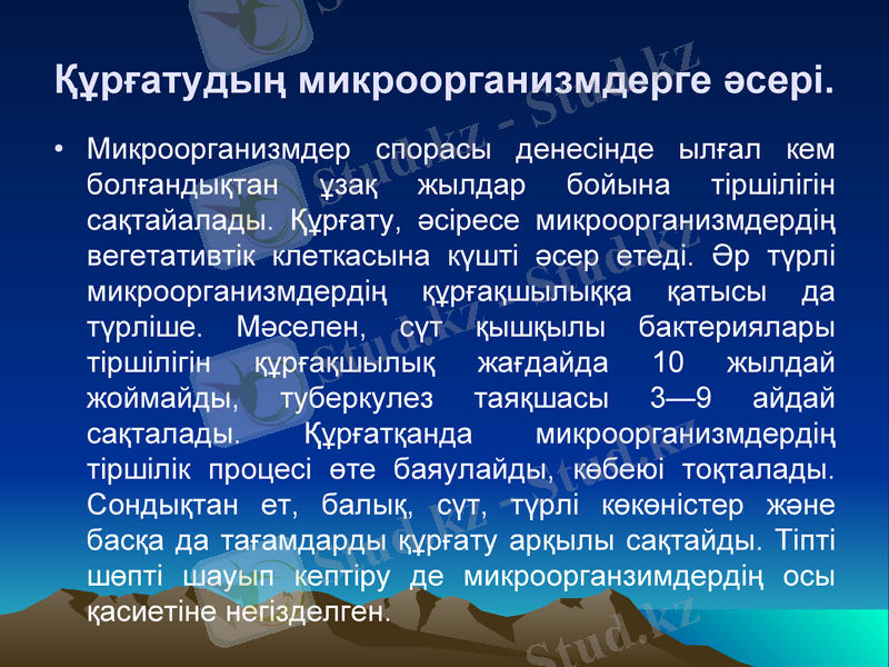 Slide 16