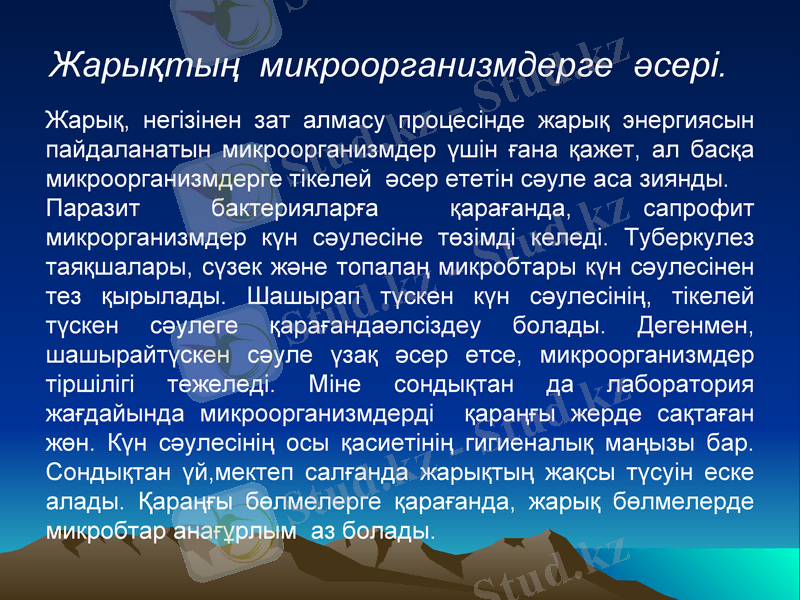 Slide 17