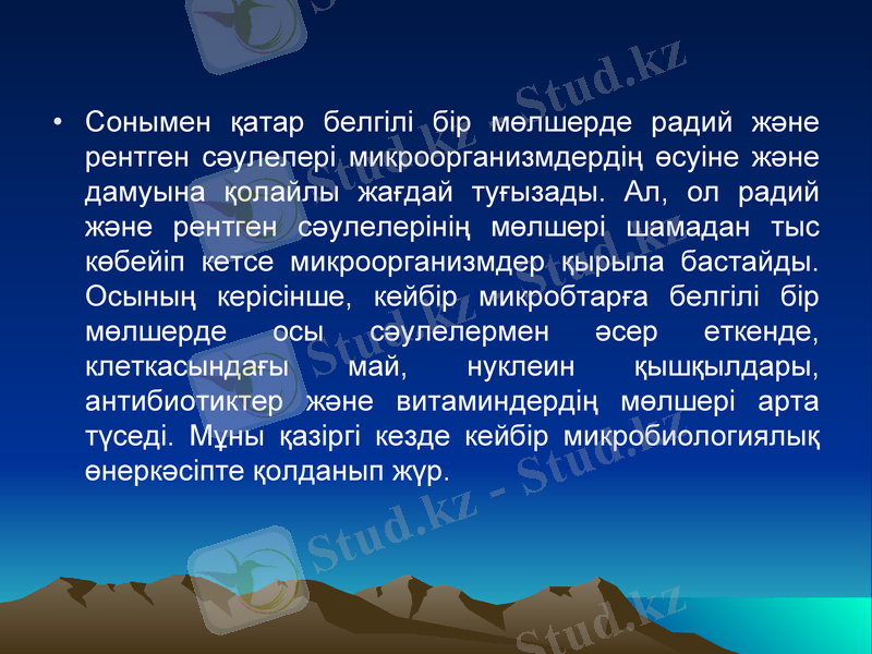 Slide 19