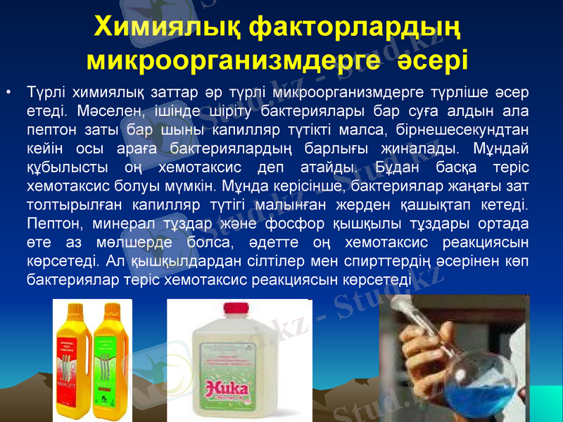 Slide 20