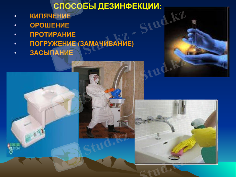 Slide 24