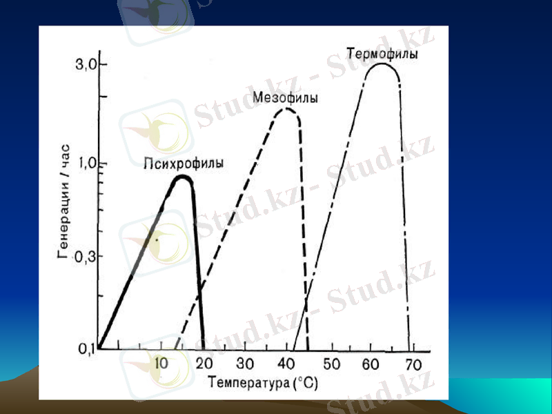 Slide 7