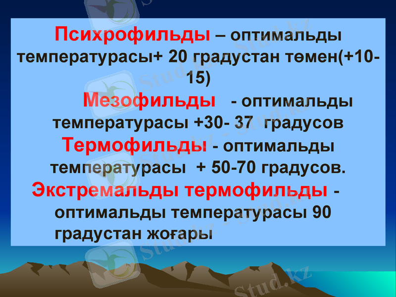 Slide 8
