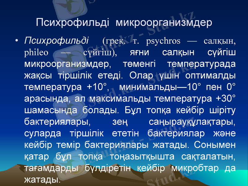 Slide 9