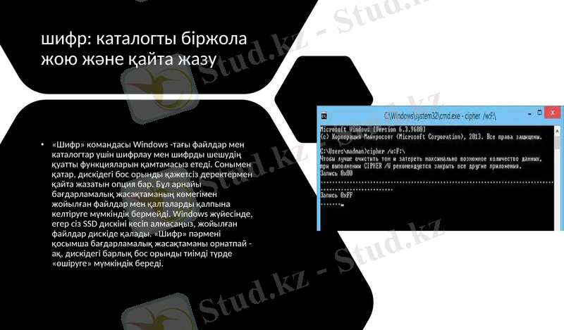Slide 10