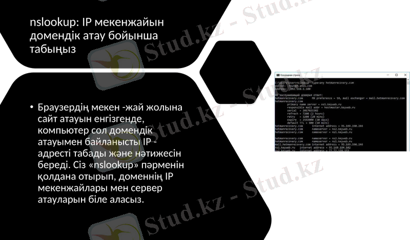 Slide 12